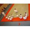 Judoinfo Judokai Yamaguchi Langedijk